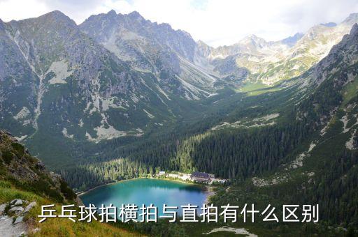 乒乓球拍橫拍與直拍有什么區(qū)別