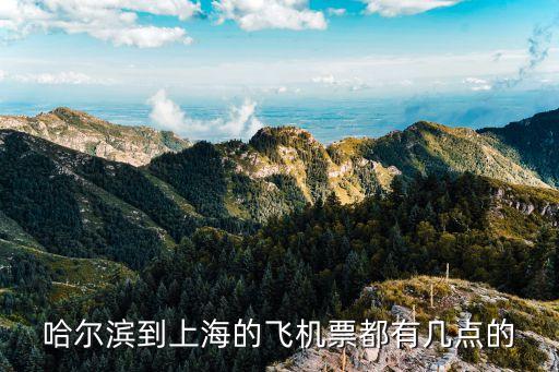 哈爾濱市人到上海市，哈爾濱到上海的飛機票都有幾點的
