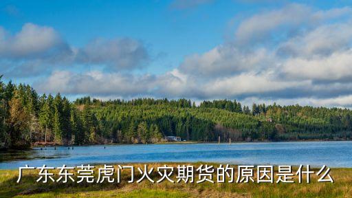 廣東東莞虎門火災期貨的原因是什么