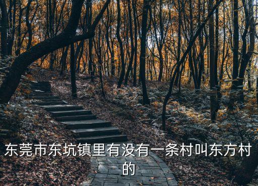 東莞東坑村委會圖片，東莞東坑地圖