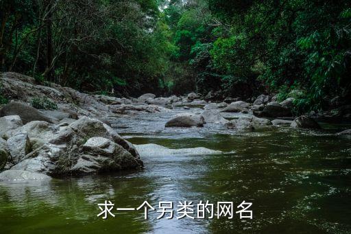求一個另類的網名