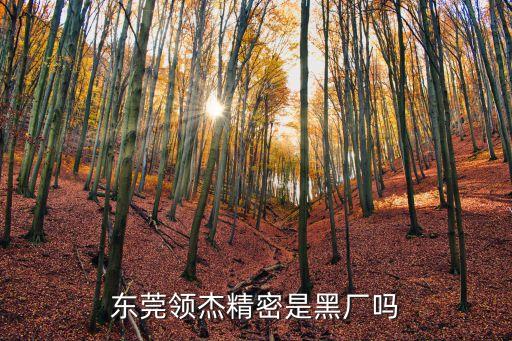 東莞領(lǐng)杰精密是黑廠嗎