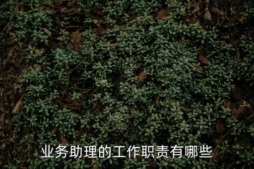 業(yè)務(wù)助理崗位職責(zé)，業(yè)務(wù)助理的工作職責(zé)有哪些