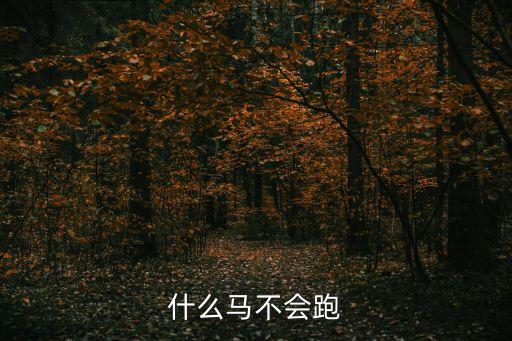 什么馬不會跑，什么馬不會跑腦筋急轉彎