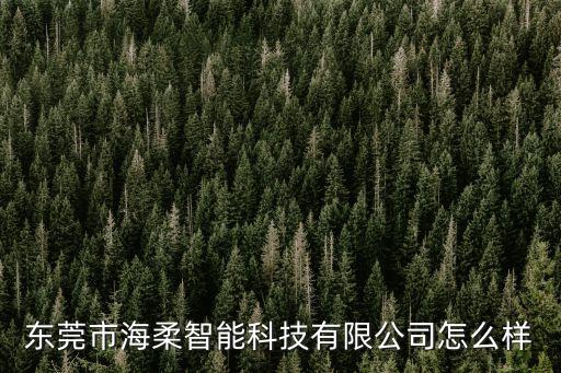東莞市海柔智能科技有限公司怎么樣
