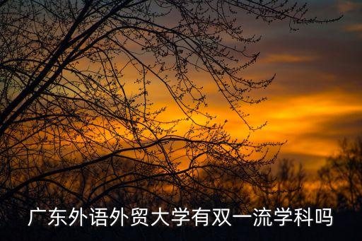 廣東外語外貿大學有雙一流學科嗎