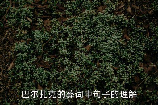巴爾扎克葬詞，巴爾扎克葬詞是誰發(fā)表的