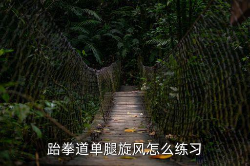 單腳旋風，跆拳道中的單腳旋風踢