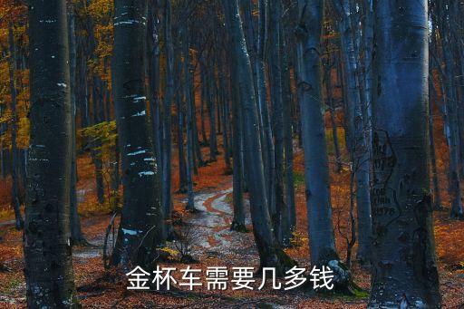 金杯車需要幾多錢