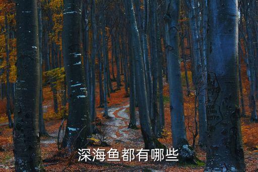 深海魚都有哪些