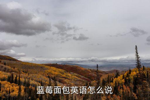 藍莓面包，藍莓面包英語怎么說