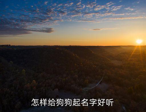 怎樣給狗狗起名字好聽