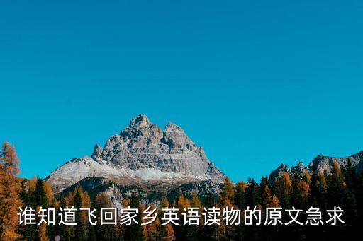 誰(shuí)知道飛回家鄉(xiāng)英語(yǔ)讀物的原文急求