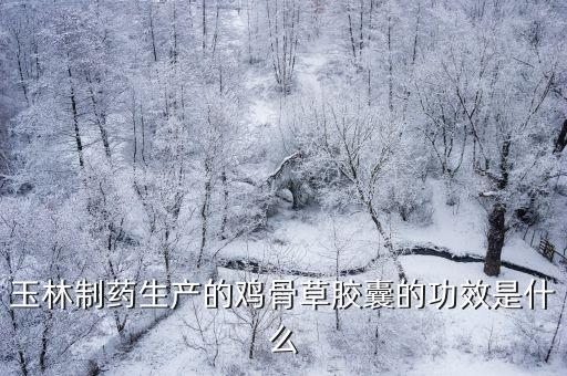 玉林制藥生產的雞骨草膠囊的功效是什么