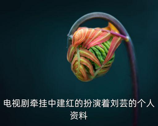電視劇牽掛中建紅的扮演著劉蕓的個人資料