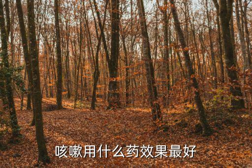 那可丁片，降血脂排尿酸麻煩問吃什么藥好
