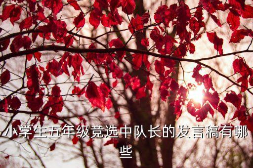 競選中隊長發言稿，競選中隊長的演講稿