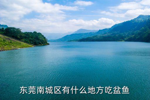 東莞南城區(qū)有什么地方吃盆魚(yú)