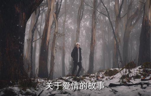 關(guān)于愛(ài)情的故事