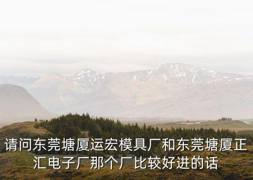 請問東莞塘廈運宏模具廠和東莞塘廈正匯電子廠那個廠比較好進的話