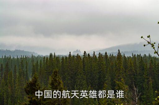 中國的航天英雄都是誰