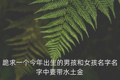 跪求一個今年出生的男孩和女孩名字名字中要帶水土金