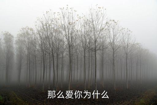 那么愛你為什么