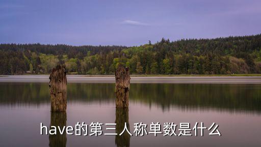 have的第三人稱單數(shù)，have的第三人稱單數(shù)是什么