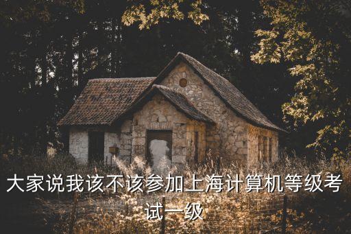大家說(shuō)我該不該參加上海計(jì)算機(jī)等級(jí)考試一級(jí)