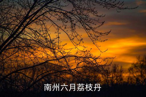 南州六月荔枝丹