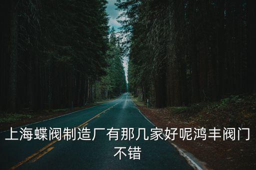 上海市蝶閥閥門(mén)有限公司，上海蝶閥制造廠有那幾家好呢鴻豐閥門(mén)不錯(cuò)