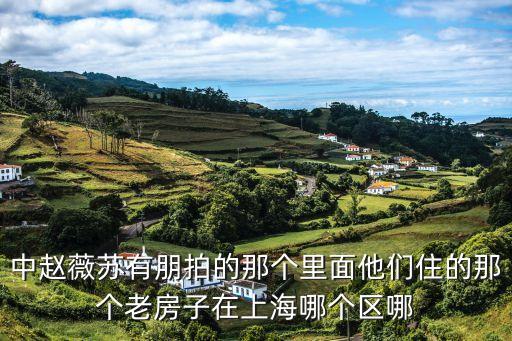中趙薇蘇有朋拍的那個(gè)里面他們住的那個(gè)老房子在上海哪個(gè)區(qū)哪