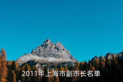 2011年上海市副市長名單