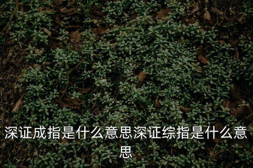 深證成指是什么意思深證綜指是什么意思