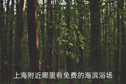上海附近哪里有免費的海濱浴場