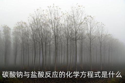 碳酸鈉與鹽酸反應(yīng)的化學(xué)方程式是什么