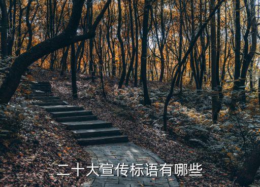 二十大宣傳標(biāo)語有哪些