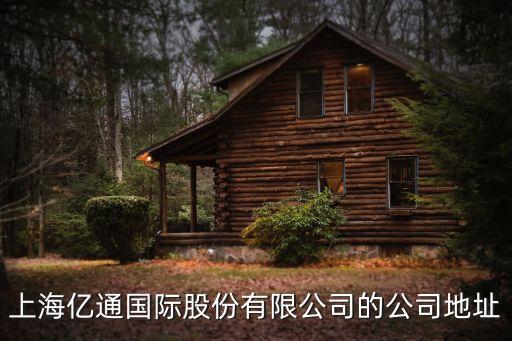上海市世紀大道1560，上海億通國際股份有限公司的公司地址