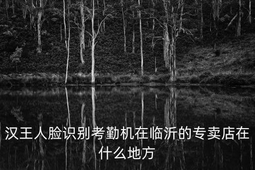 漢王人臉識別考勤機在臨沂的專賣店在什么地方