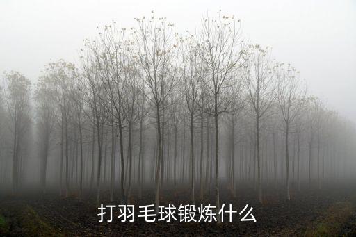 羽毛球運(yùn)動，打羽毛球鍛煉什么
