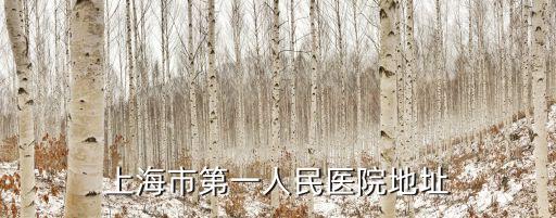 覽海醫療上海市第一人民醫院，上海市第一人民醫院地址