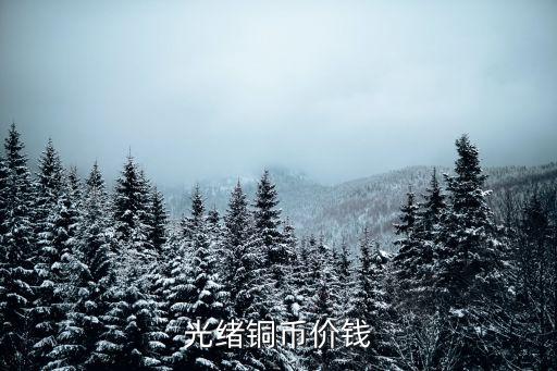 光緒銅幣值多少錢，光緒元寶銅幣價格表