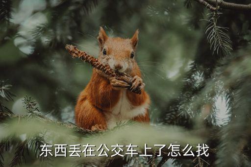 東西丟在公交車上了怎么找