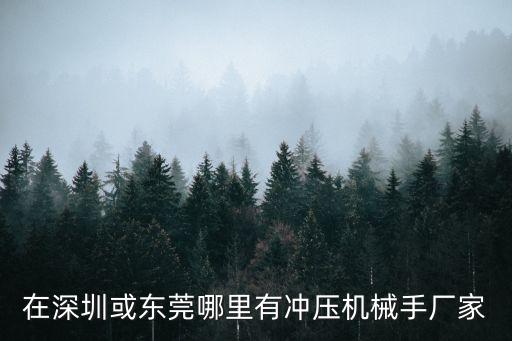 在深圳或東莞哪里有沖壓機械手廠家