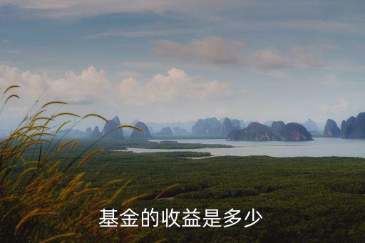基金收益率，基金的收益率一般是多少