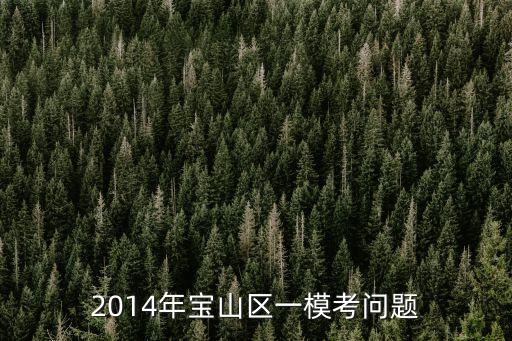 2014年寶山區一模考問題