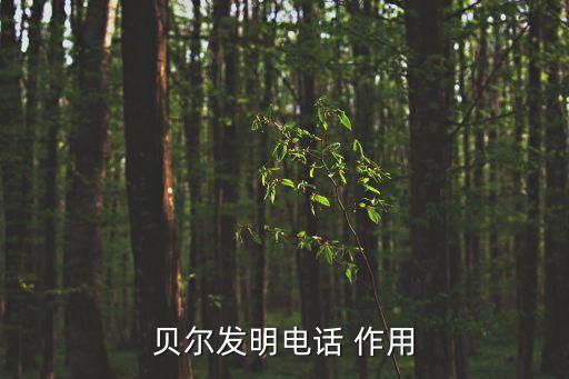 貝爾發明電話，貝爾發明電話 作用