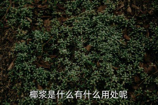 椰漿是什么有什么用處呢
