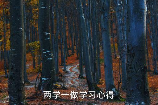 兩學一做學習心得