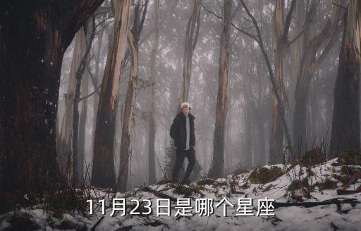 11月23日是什么星座，11月23是什么星座